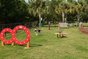 Leash Free Pet Park w/ Agility Equipment